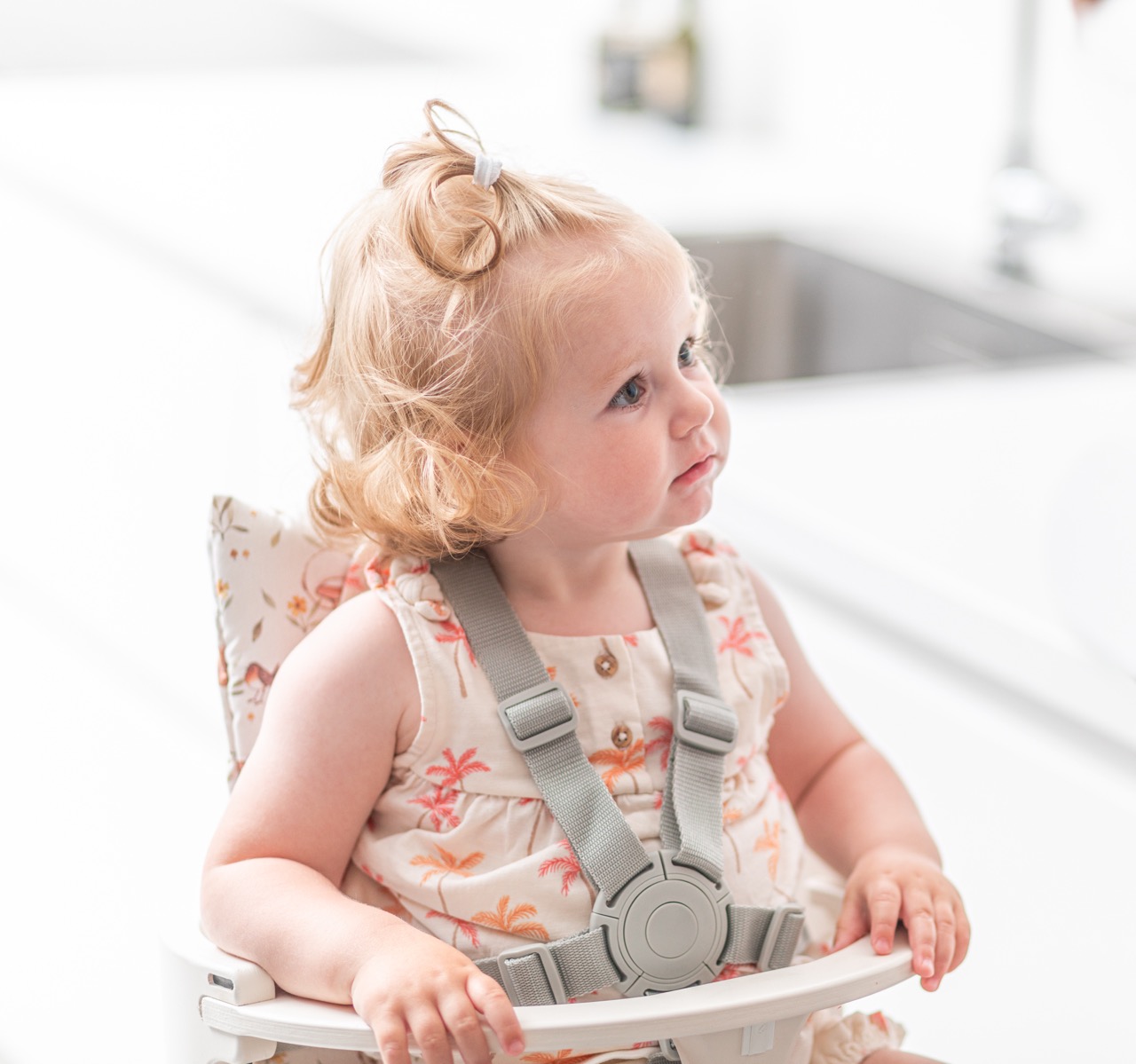 Peak 5-point harness - Image 3